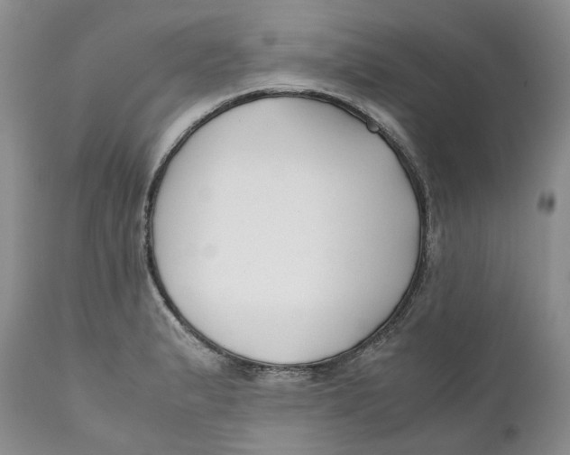 X0000110771183200907061112