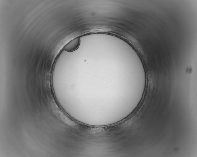 X0000110771186200907061112