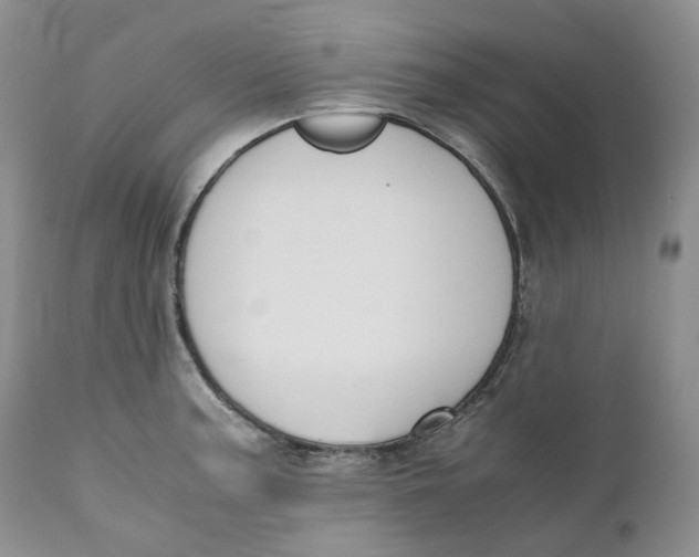 X0000110771187200907061112