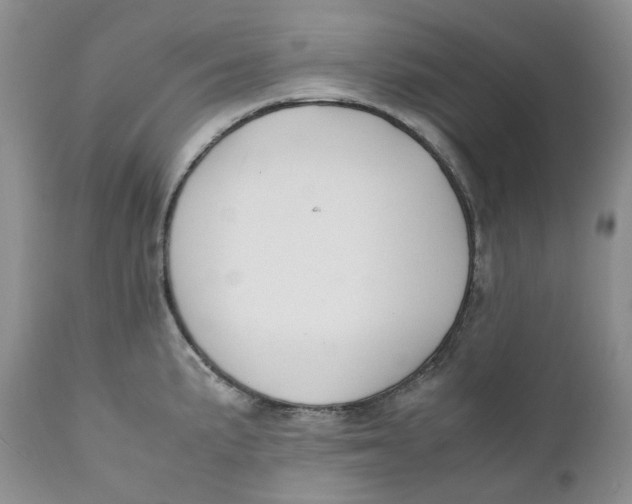 X0000110771191200907061112