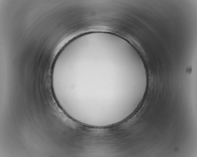 X0000110771192200907061112