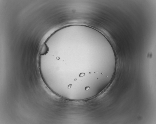 X0000110771196200907061112