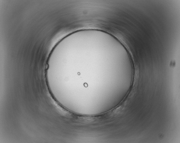 X0000110771197200907061112