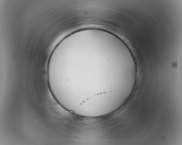 X0000110771199200907061111