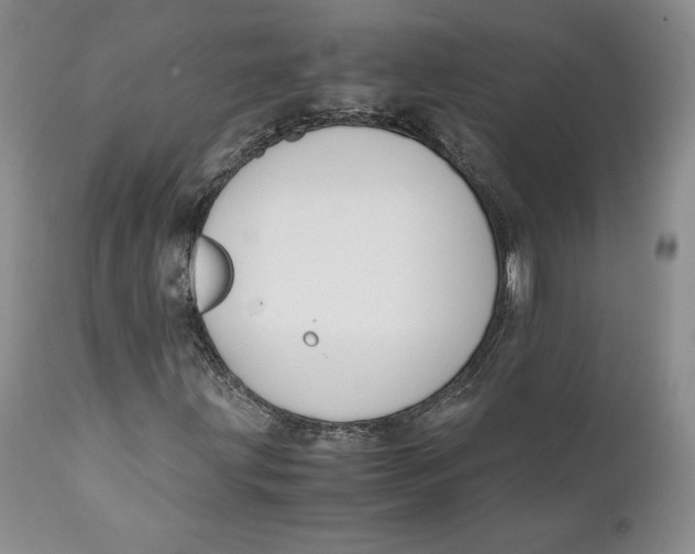 X0000110771203200907061111