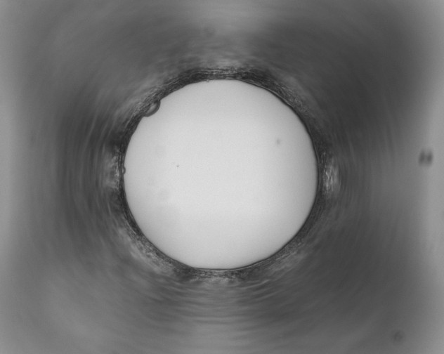 X0000110771204200907061111