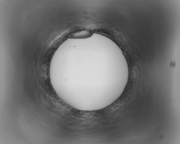 X0000110771205200907061111