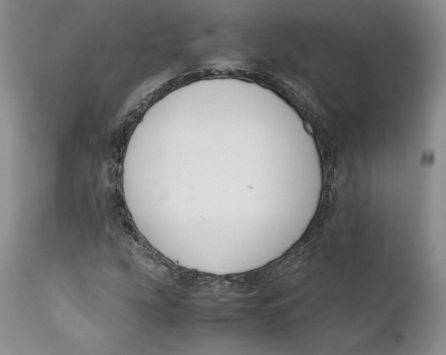 X0000110771207200907061111