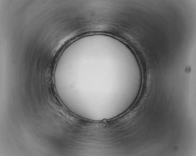 X0000110771210200907061111