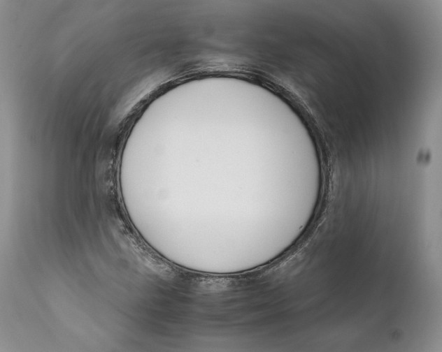 X0000110771211200907061111