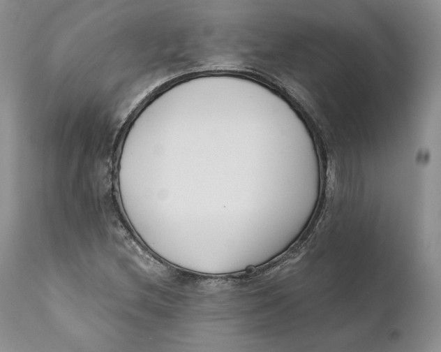 X0000110771212200907061111