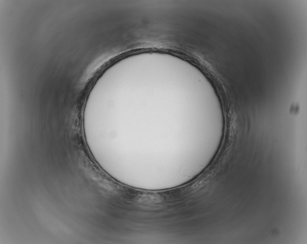 X0000110771215200907061111