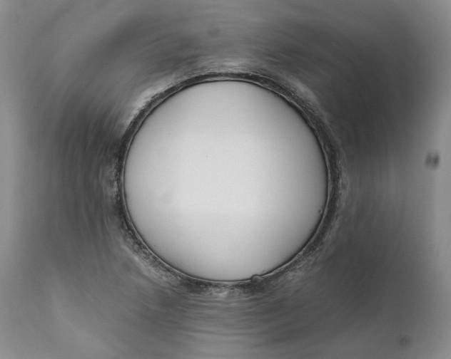 X0000110771218200907061111