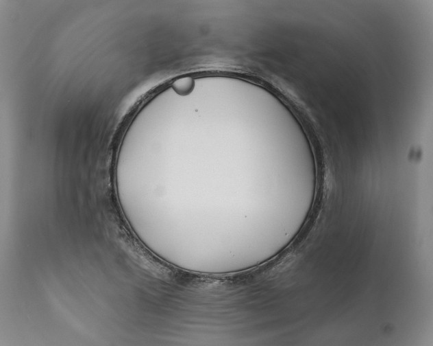 X0000110771222200907061111