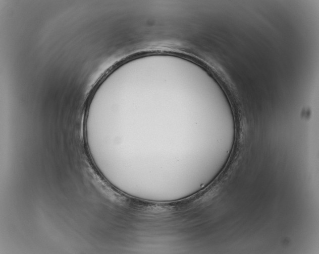 X0000110771224200907061111