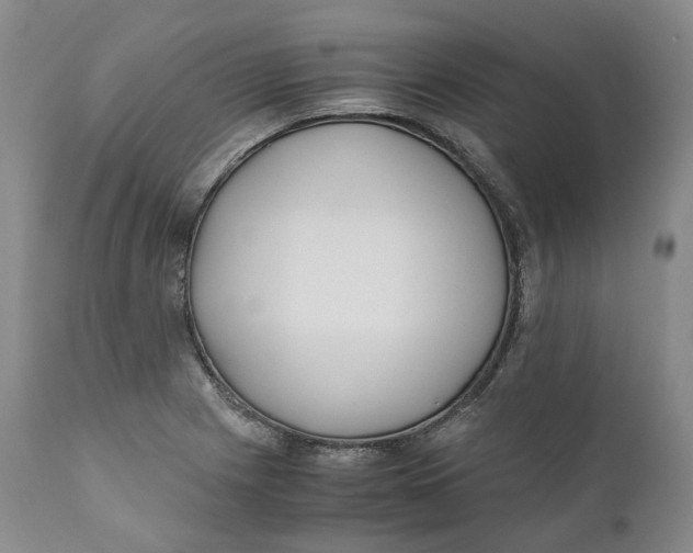 X0000110771225200907061111