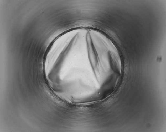 X0000110771226200907061111