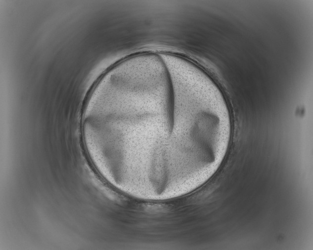 X0000110771231200907061111