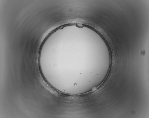 X0000110771232200907061111