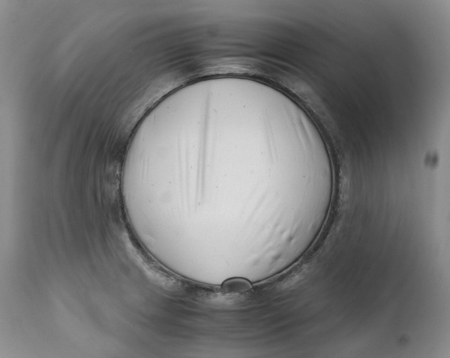 X0000110771233200907061111