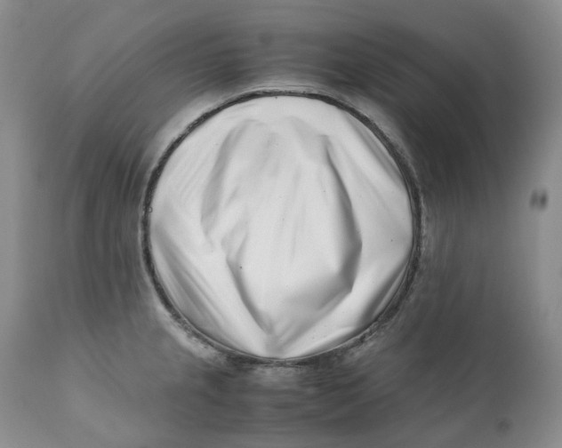 X0000110771237200907061111