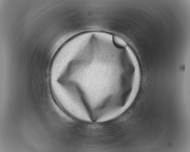 X0000110771239200907061111