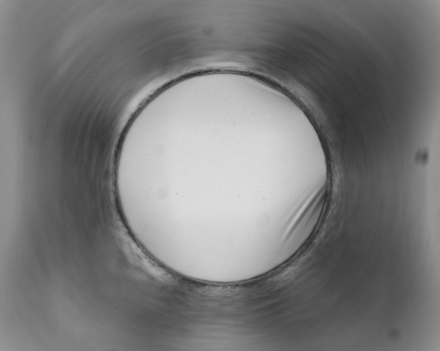 X0000110771240200907061111