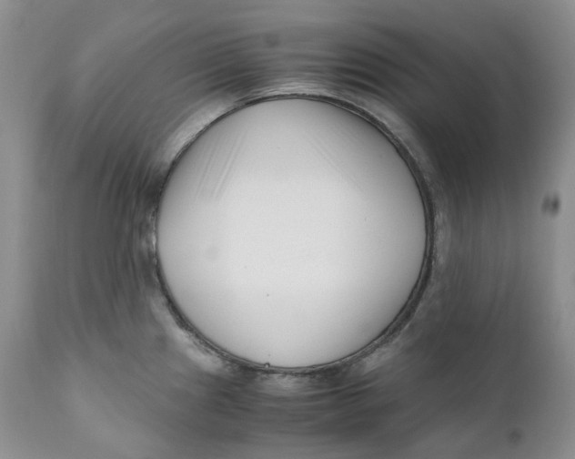 X0000110771241200907061111