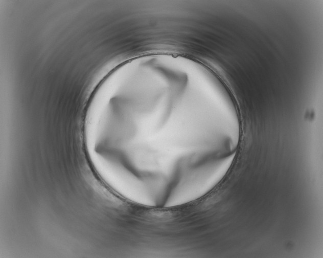 X0000110771243200907061111