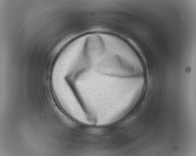 X0000110771245200907061111