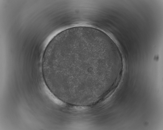 X0000110771246200907061111