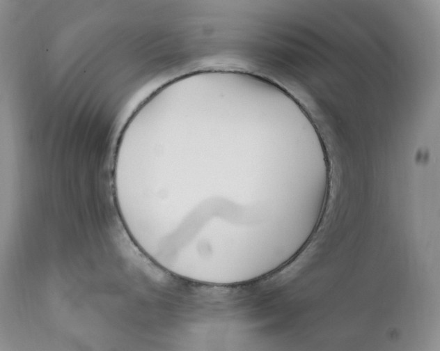 X0000110771248200907061111