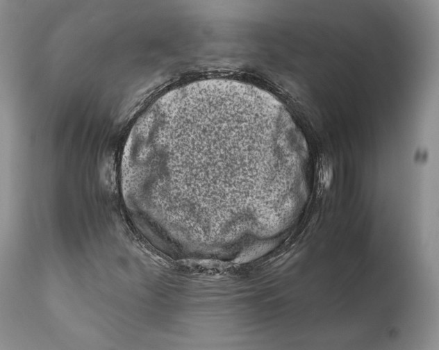 X0000110771252200907061111