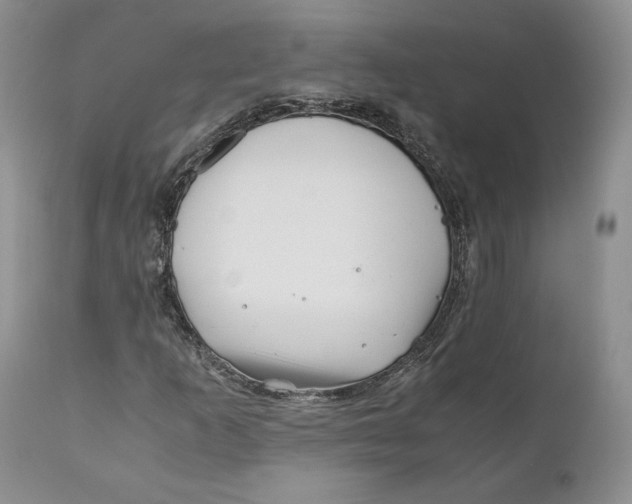 X0000110771253200907061111