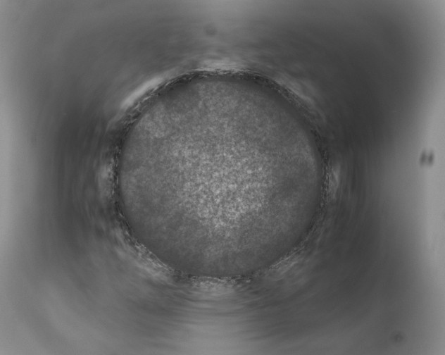 X0000110771254200907061111