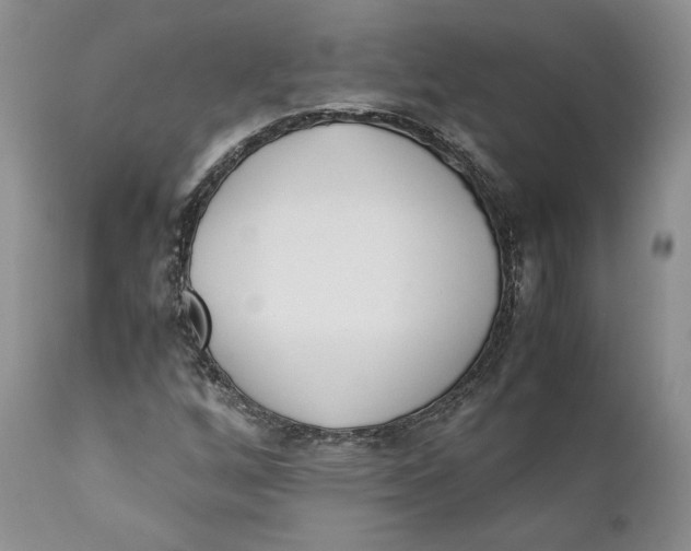 X0000110771256200907061111