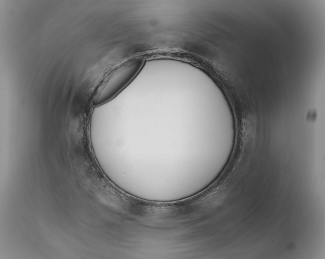 X0000110771257200907061111