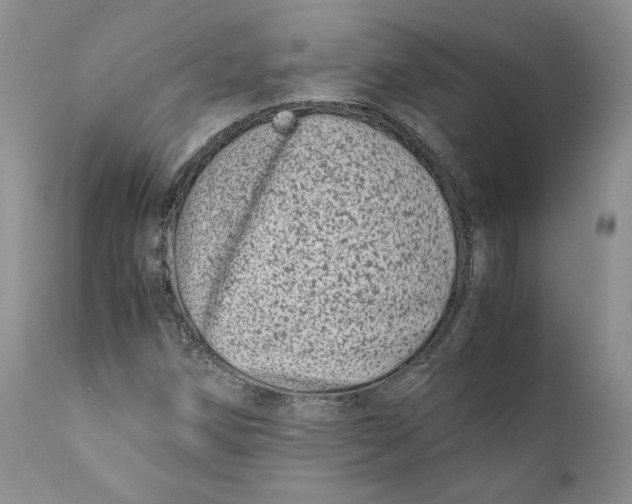 X0000110771258200907061111