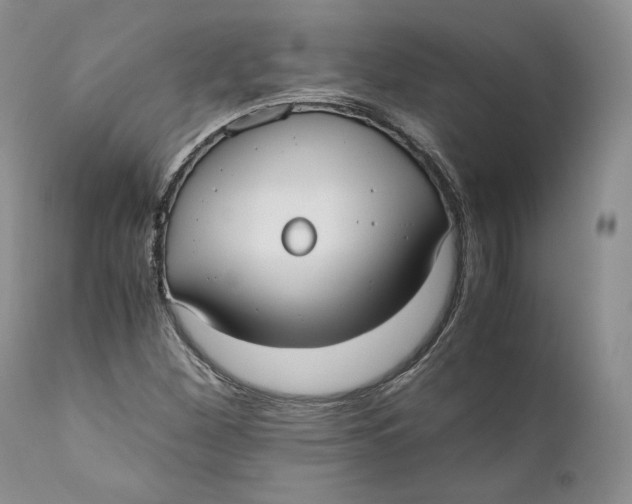 X0000110771260200907061111