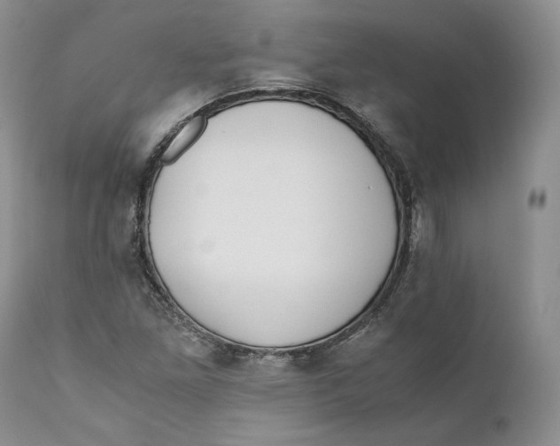 X0000110771261200907061111