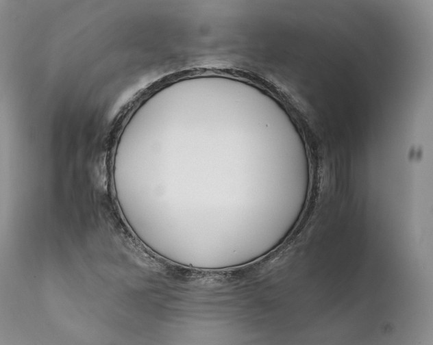 X0000110771262200907061111