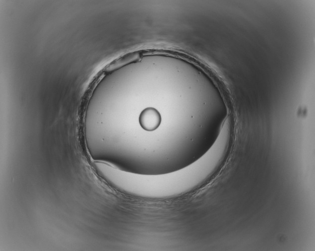 X0000110771264200907061111