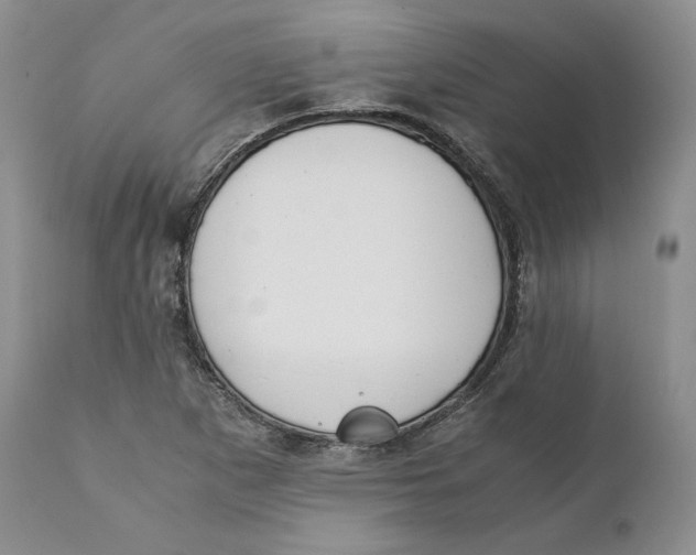 X0000110771265200907061111