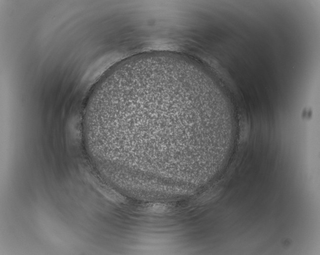 X0000110771266200907061111