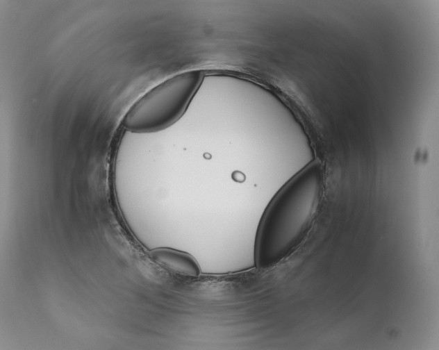 X0000110771268200907061111