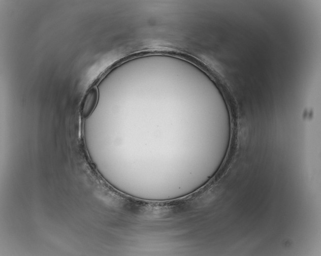 X0000110771269200907061111