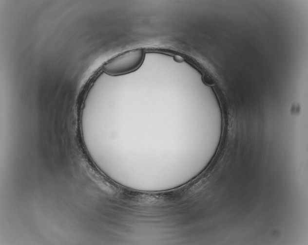 X0000110771270200907061110