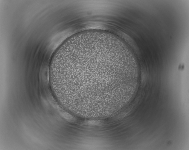 X0000110771274200907061110