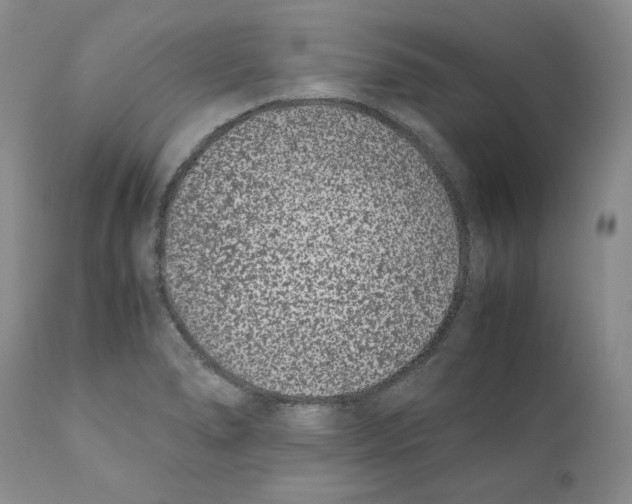 X0000110771278200907061110