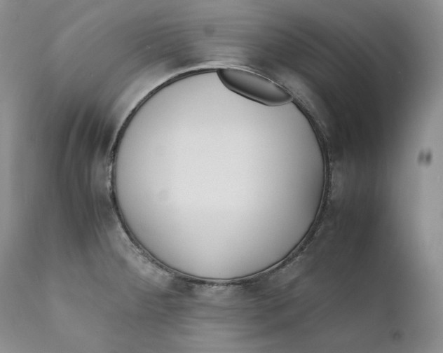 X0000110771284200907061110